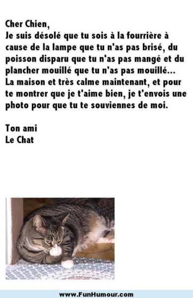 mdr