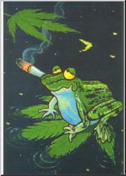 grenouille