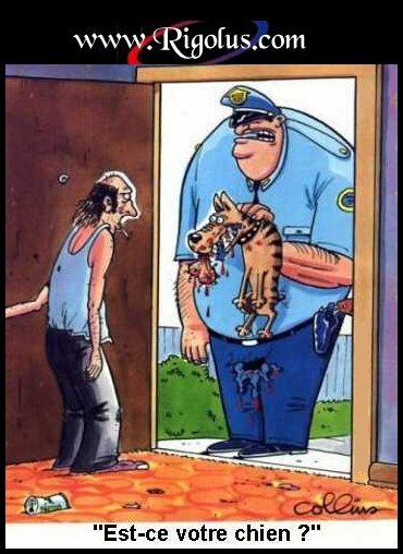 est- ce votre chien ??