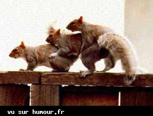 heu ouai pk pas !!!!