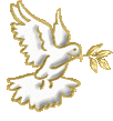colonbe blanche
