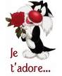 je t adore